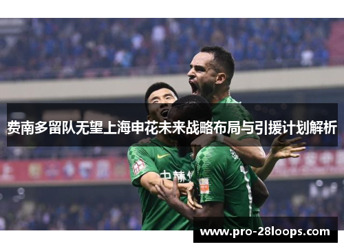 费南多留队无望上海申花未来战略布局与引援计划解析 费南多留队无望上海申花未来战略布局与引援计划解析