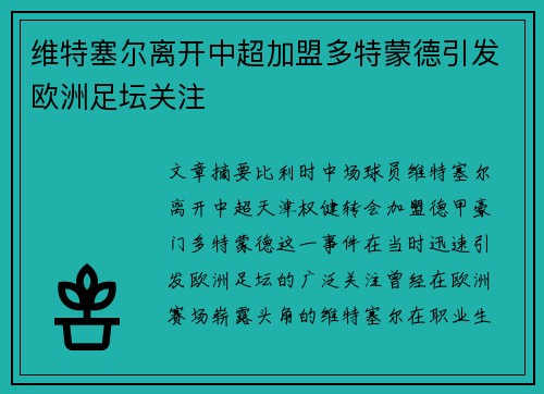 维特塞尔离开中超加盟多特蒙德引发欧洲足坛关注